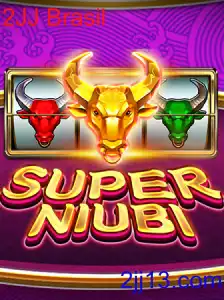 SuperNiubi